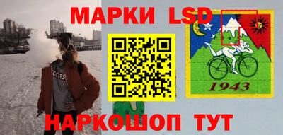 гидропоника Кингисепп