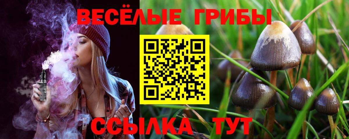 Галлюциногенные грибы GOLDEN TEACHER Ипатово