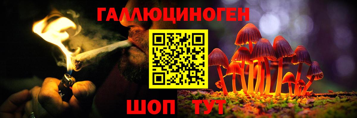 Псилоцибиновые грибы GOLDEN TEACHER  Вход с VPN  Ипатово 